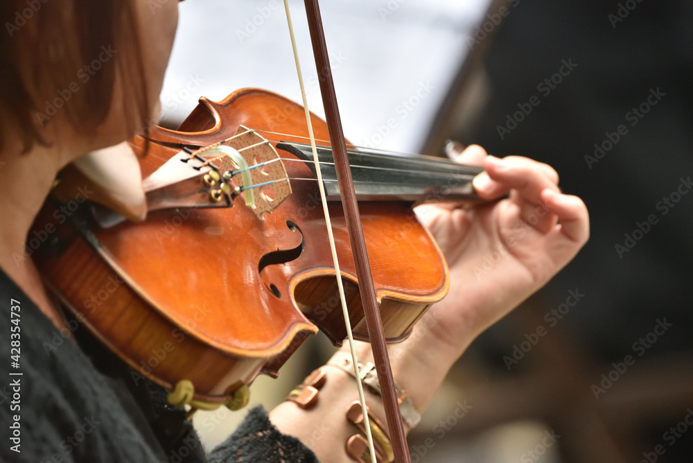 violin during a concert , with hands and a bows violin during a concert , with hands and a bows