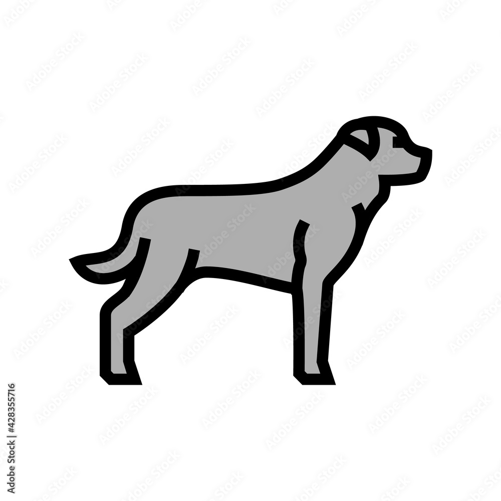 rottweiler dog color icon vector. rottweiler dog sign. isolated symbol illustration