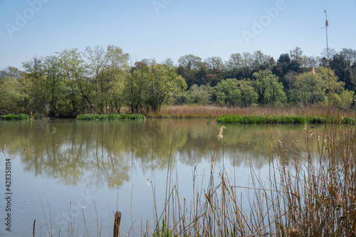 Birdwatching wetland near the Tiber in Farfa, Italy photo