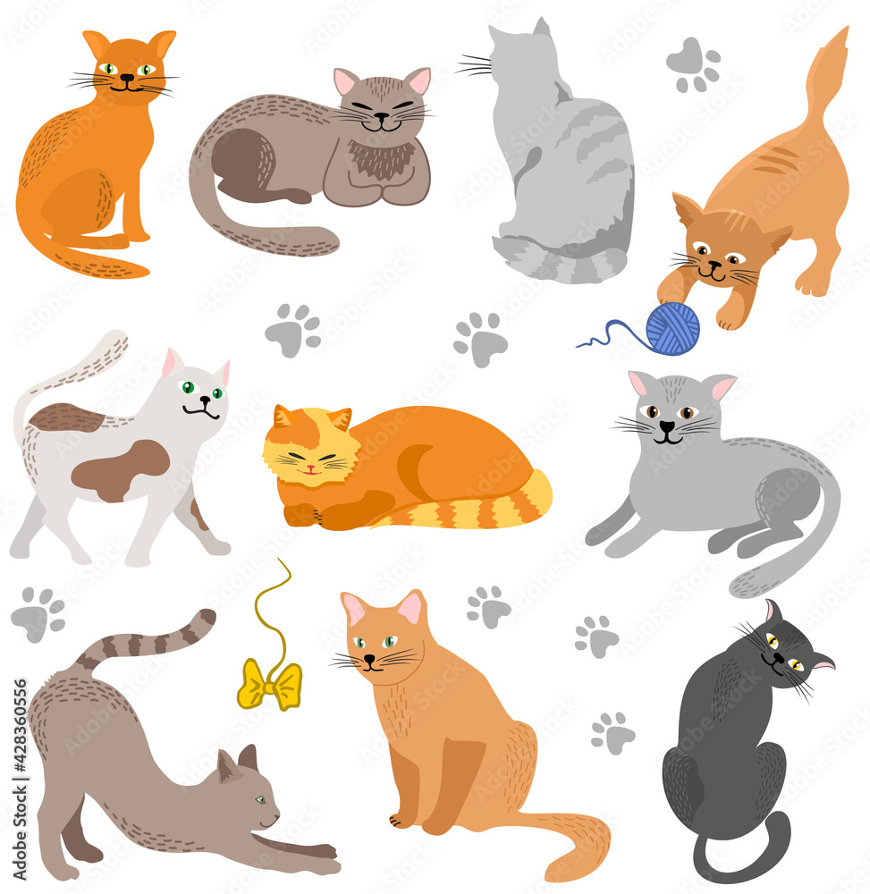 Fototapeta premium Vector Cute cats. Set characters. Cat different breeds pet characters set.