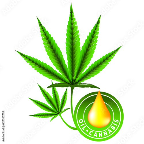 Cannabis leaf isolated on white background