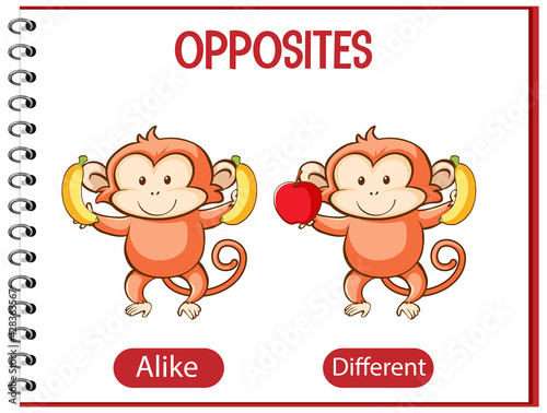 Opposite words with alike and different