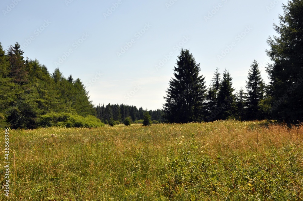 Rotes Moor in Poppenhausen