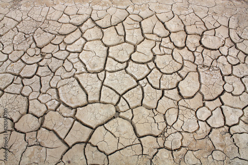 Dried cracked Mud in the desert