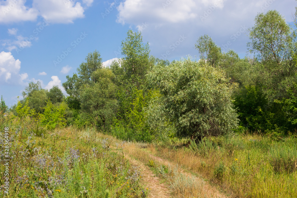 Russian countryside. The right bank of the Sok river, Samara region.