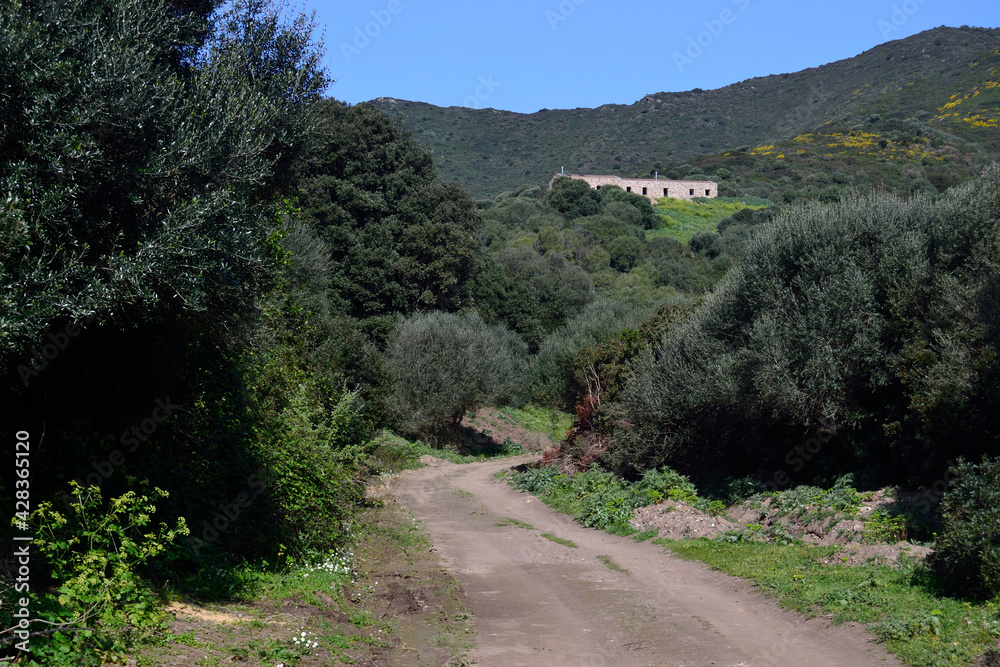 La strada per Lu Caparoni, in località Sa Croze La strada per Lu Caparoni, in località Sa Croze