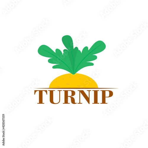 Yellow turnip vegetable logo. Vector isolated illustration. Clipart and drawing. 