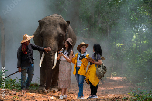 Young woman is pointing the finger to map. Asian tourists and tourists guides and mahout are watching elephants in the jungle.