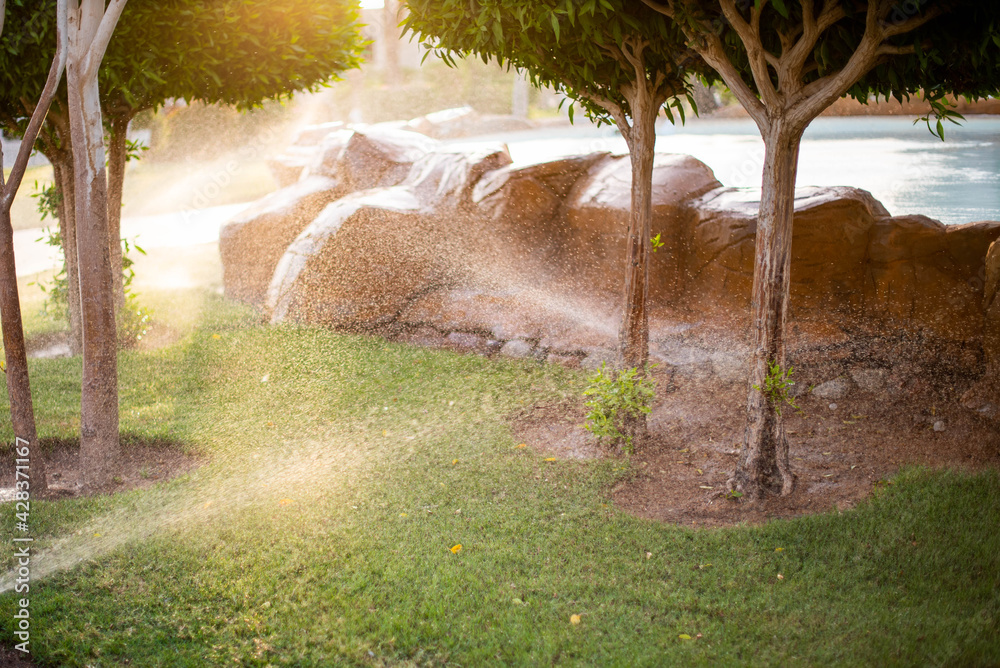 Fototapeta premium Photo of a Lawn Sprinkler. Automatic Garden Sprinkler. Backyard Watering Technology.