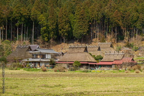 Wallpaper Mural Rice fields and old thatched-roof houses in Kitamura, Miyama Kayabuki no Sato, Nantan City, Kyoto Prefecture, Japan Torontodigital.ca