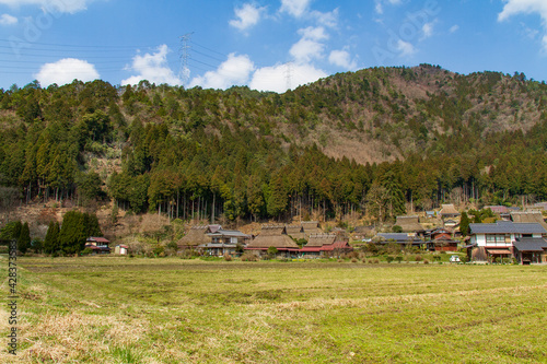 Wallpaper Mural Rice fields and old thatched-roof houses in Kitamura, Miyama Kayabuki no Sato, Nantan City, Kyoto Prefecture, Japan Torontodigital.ca