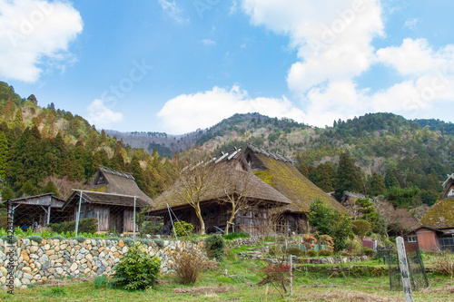 Wallpaper Mural Rice fields and old thatched-roof houses in Kitamura, Miyama Kayabuki no Sato, Nantan City, Kyoto Prefecture, Japan Torontodigital.ca