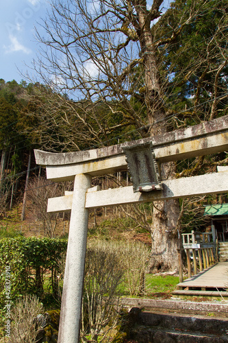 Wallpaper Mural Torii gate of Kita Inari Shrine in Kitamura, Miyama Kayabuki no Sato, Nantan City, Kyoto Prefecture, Japan Torontodigital.ca
