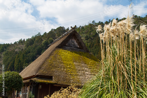 Wallpaper Mural An old house with a bunch of silver grass and a thatched roof in Kitamura, Miyama Kayabuki no Sato, Nantan City, Kyoto Prefecture, Japan Torontodigital.ca