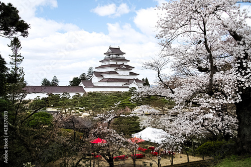 満開の桜と会津若松鶴ヶ城