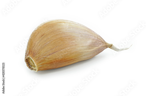 Wallpaper Mural garlic, clove, spice, isolated, ingredient, vegetable, fresh, raw, agriculture, allium, aromatic, bulb, closeup, condiment, cook, cooking, eating, flavor, flavoring, food, gourmet, green, group, harve Torontodigital.ca