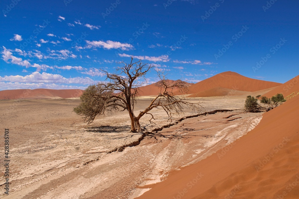 View of Namib Desert close to world famous Sossusvlei
