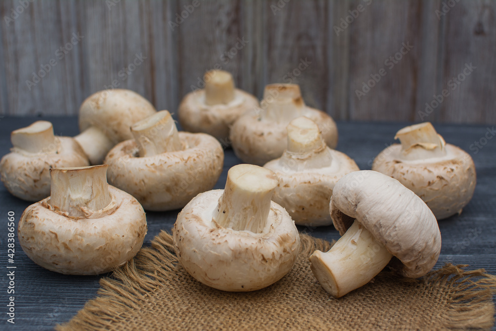 Fresh champignon mushrooms lie on a linen napkin on a gray wooden table. Fresh champignon mushrooms lie on a linen napkin on a gray wooden table.