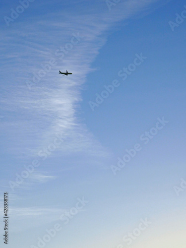 The passenger plane is flying far away in the blue sky and white clouds. Vertical illustration of the resumption of international passenger air transportation