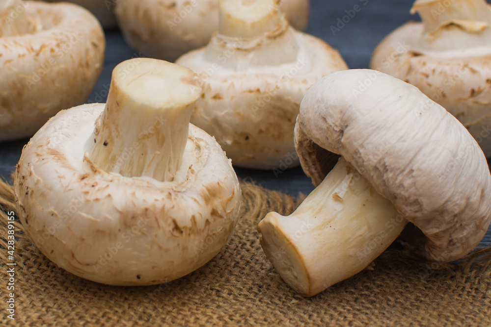 Fresh champignon mushrooms lie on a linen napkin on a gray wooden table. Fresh champignon mushrooms lie on a linen napkin on a gray wooden table.