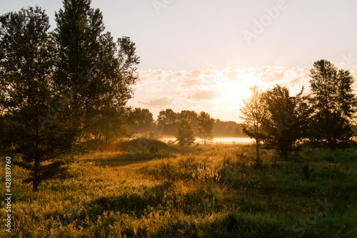 Yellow sunrise in morning forest nature view. The sun's rays penetrate through the trees and morning fog.