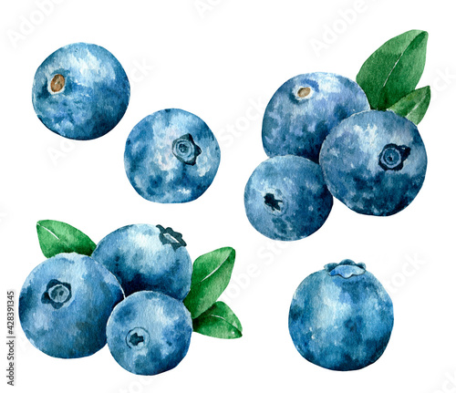 Watercolor blueberries set