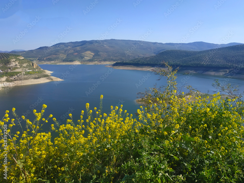 Lake in natural park. Cool in water Lake in natural park. Cool in water