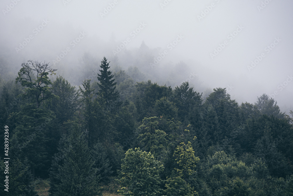 Misty mountain landscape