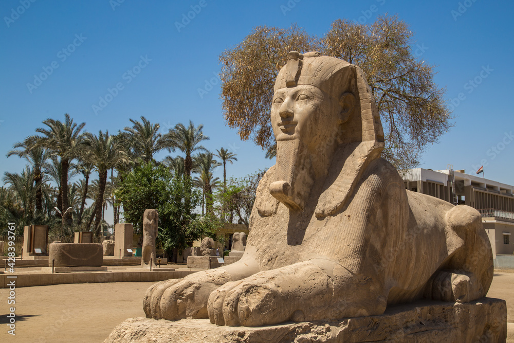 Obraz premium Sphinx Memphis