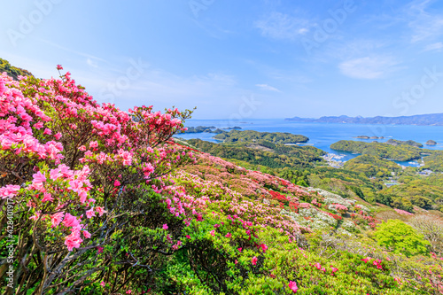 西海国立長串山公園のつつじ　長崎県佐世保市　Azalea Nagasaki-ken Sasebo city Saikai National Park Nagakushiyama park photo