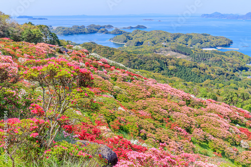 西海国立長串山公園のつつじ　長崎県佐世保市　Azalea Nagasaki-ken Sasebo city Saikai National Park Nagakushiyama park photo