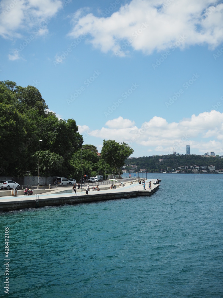 A viewpoint of Bosphorus on the ship, Istanbul A viewpoint of Bosphorus on the ship, Istanbul