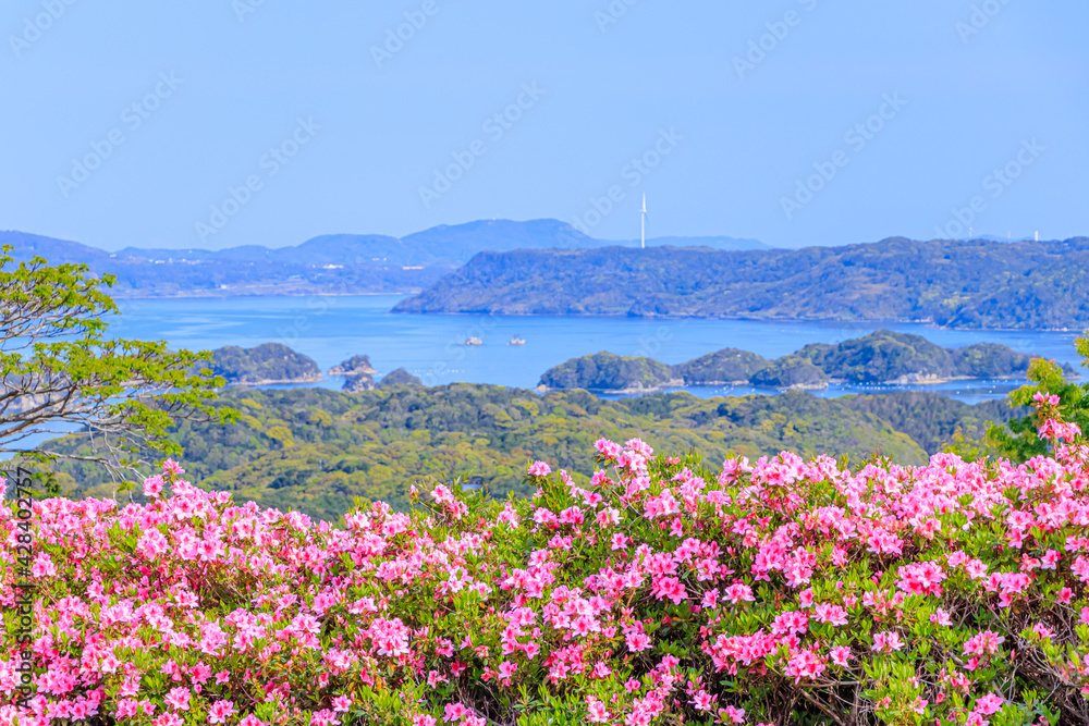 Obraz premium 西海国立長串山公園のつつじ 長崎県佐世保市 Azalea Nagasaki-ken Sasebo city Saikai National Park Nagakushiyama park