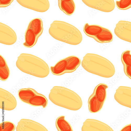 Illustration on theme big pattern identical types peanut