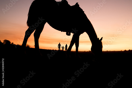 family walking at sunset with horse  © Valdeon