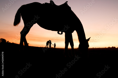 family walking at sunset with horse 