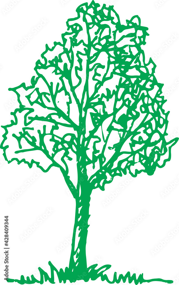 Fototapeta premium trees with leaves icon sign design