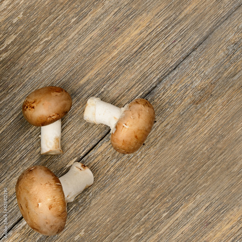 Three champignons on a wooden table.