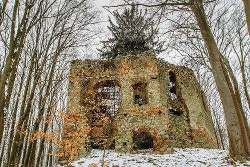 Ruins of Chapel of Saint Mary Magdalene on the hill of Maly Blanik, central Bohemia, Czech Republic.Pilgrimage place with great spruce growing within chapel walls is called Monk.Czech nature reserve photo