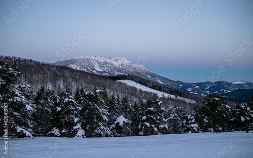 Winter mountain landscape