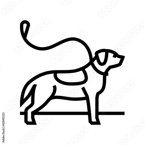 pouring out dog line icon vector. pouring out dog sign. isolated contour symbol black illustration