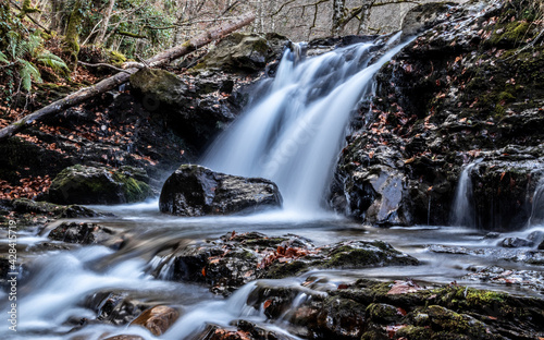 Waterfall in the forest