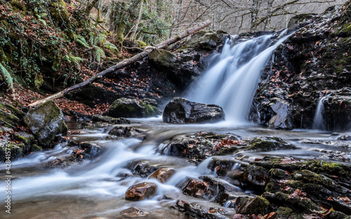 Waterfall in the forest