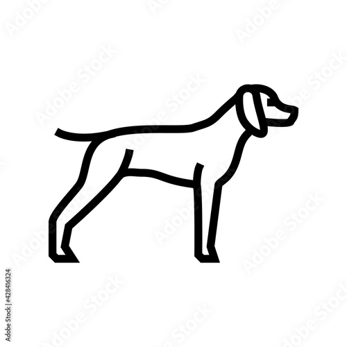 german shrothaired pointer dog line icon vector. german shrothaired pointer dog sign. isolated contour symbol black illustration