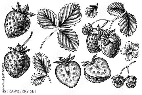 Vector set of hand drawn black and white strawberry