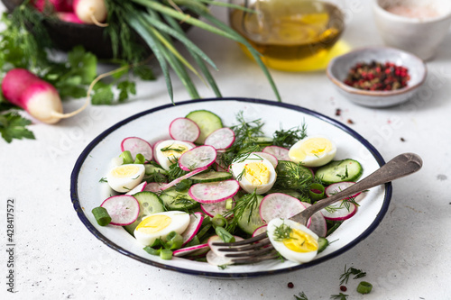 Spring salad with fresh cucumber, radishes, herbs, lemon in bowl . Concept of healthy eating. Food for vegetarians.