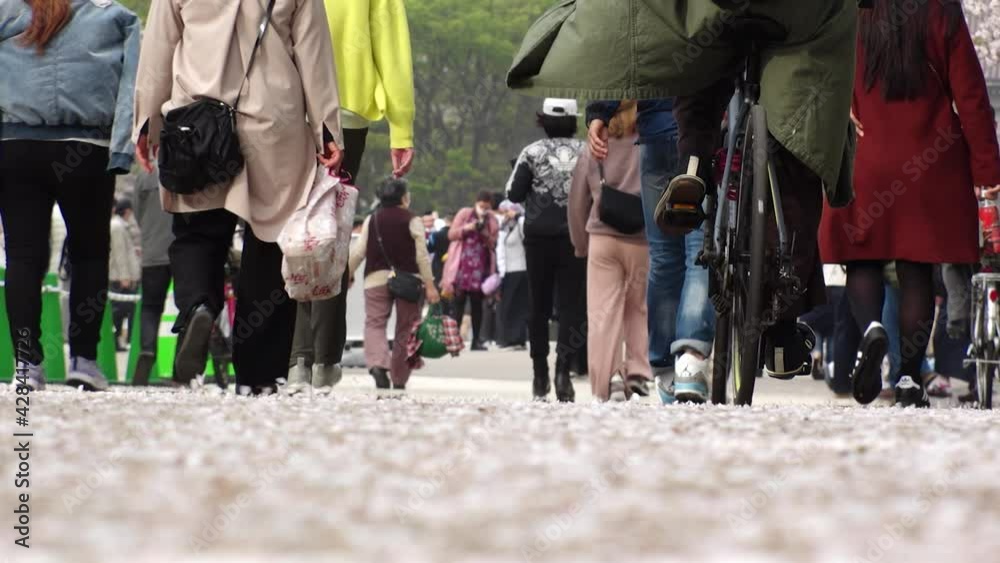 TOKYO, JAPAN - APRIL 2021 : View of crowd of people and pink cherry blossoms at the park. Back shot of many people walking down the street. Slow motion shot. Japanese spring season and nature concept.