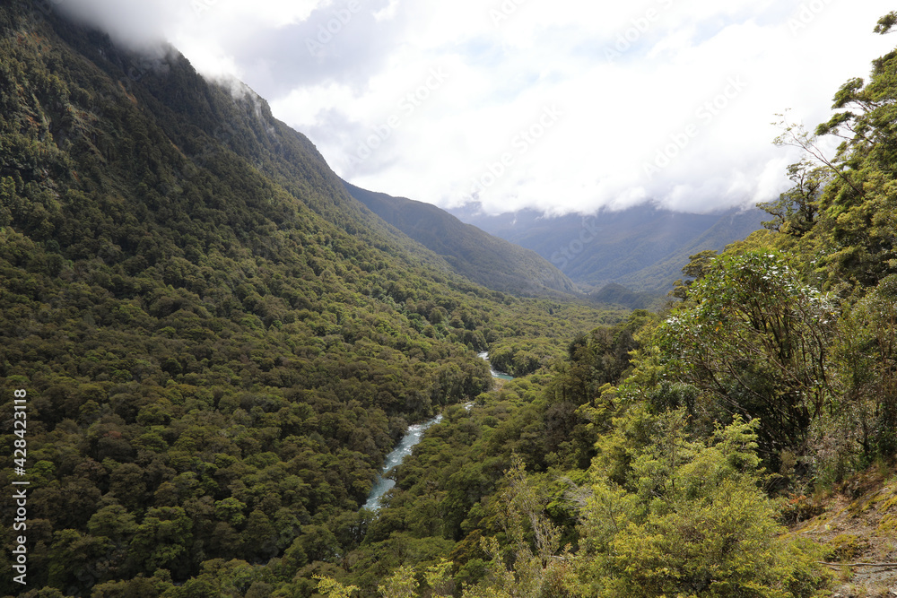 Neuseeland - Landschaft entlang Hwy 94 / New Zealand - Landscape along Hwy 94 /