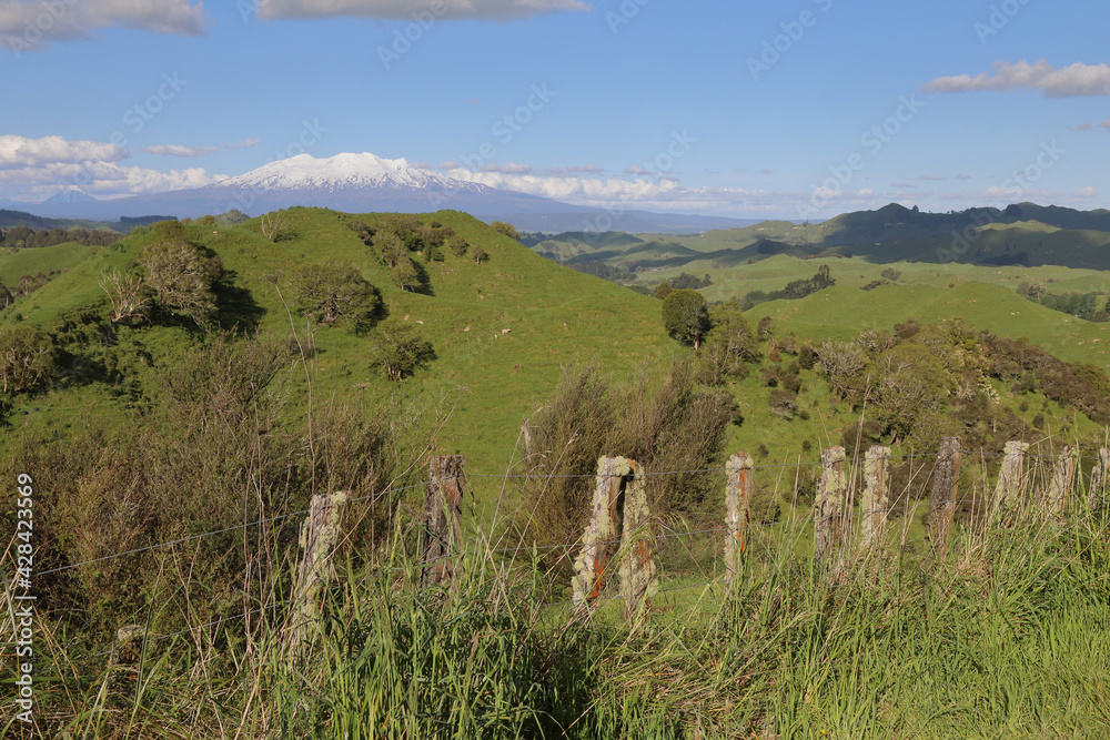 Mount Ruapehu und Mount Ngauruhoe Neuseeland / Mount Ruapehu and Mount
