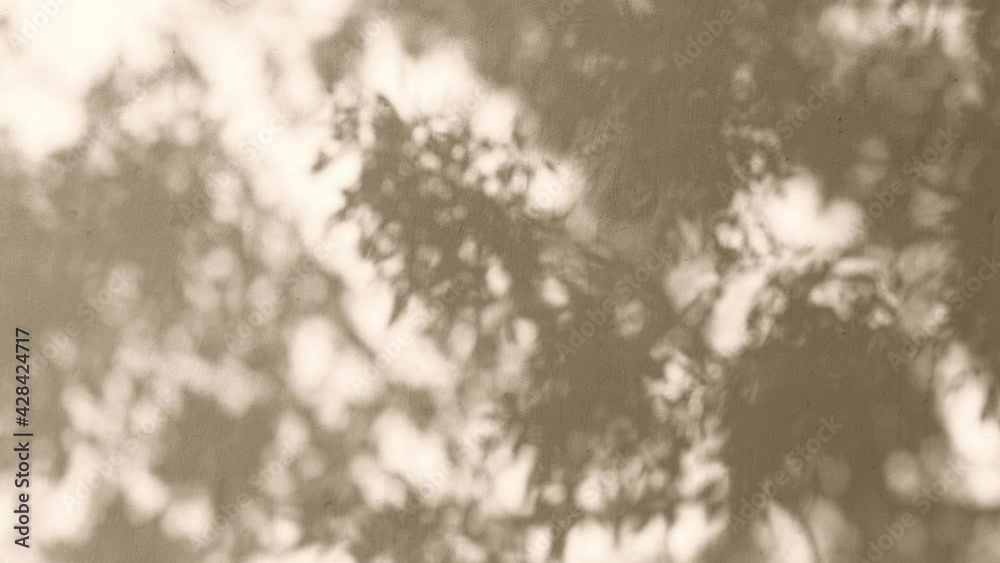 Abstract 4k stock sepia video background. Morning sunlight and tree shadows blowing by wind reflecting on rural old texture of weathered wall. Natural leaves of many trees overlay on flat surface